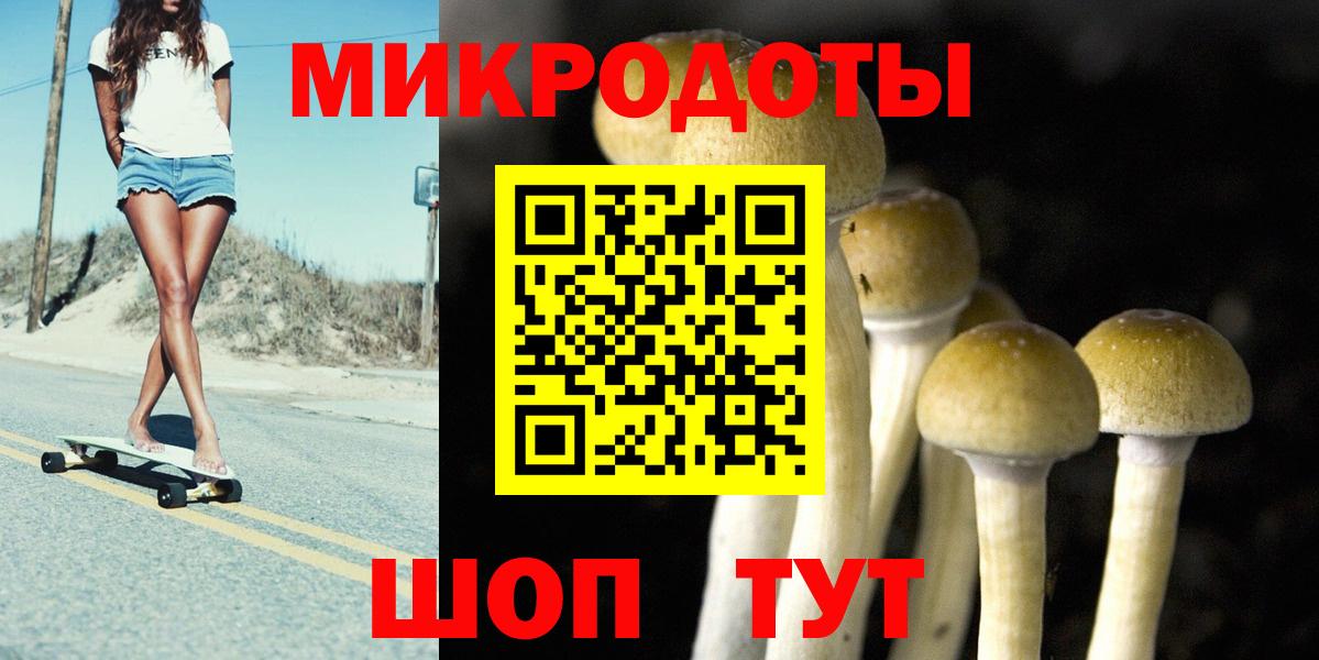 Псилоцибиновые грибы Cubensis  Вход с VPN  Белово 